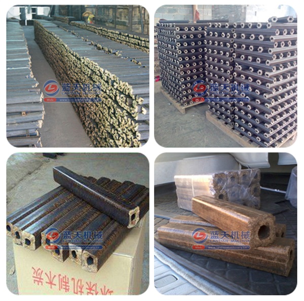 Sugarcane Bagasse Extruder